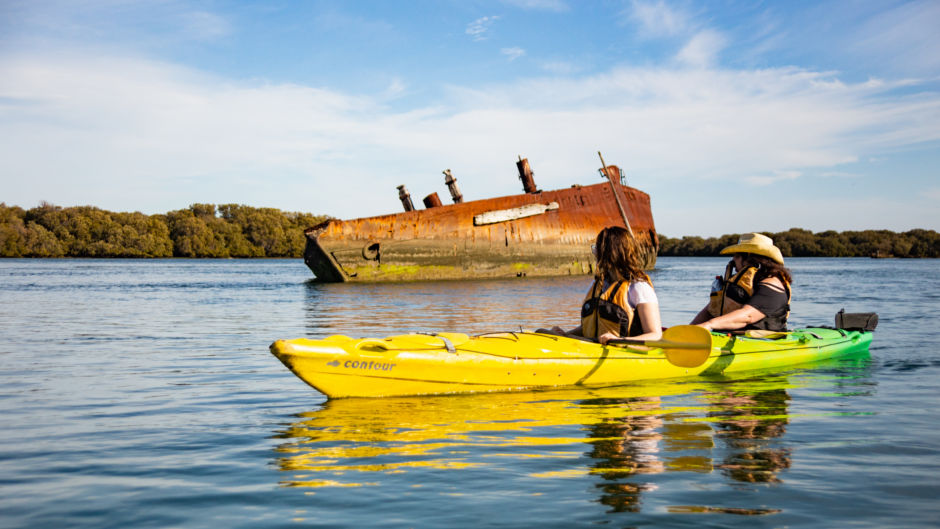 Enjoy a unique kayak excursion to discover Adelaide's amazing dolphin sanctuary & shipwreck heritage trail...